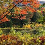 Hazen's Notch Trail Network