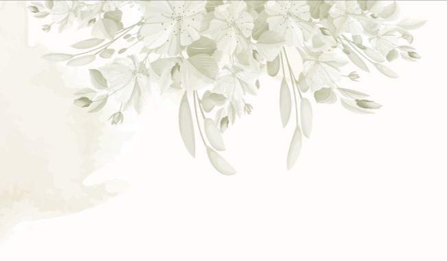 Footer image