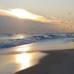 Jones Beach State Park