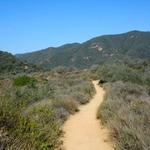 Temescal Canyon Trail