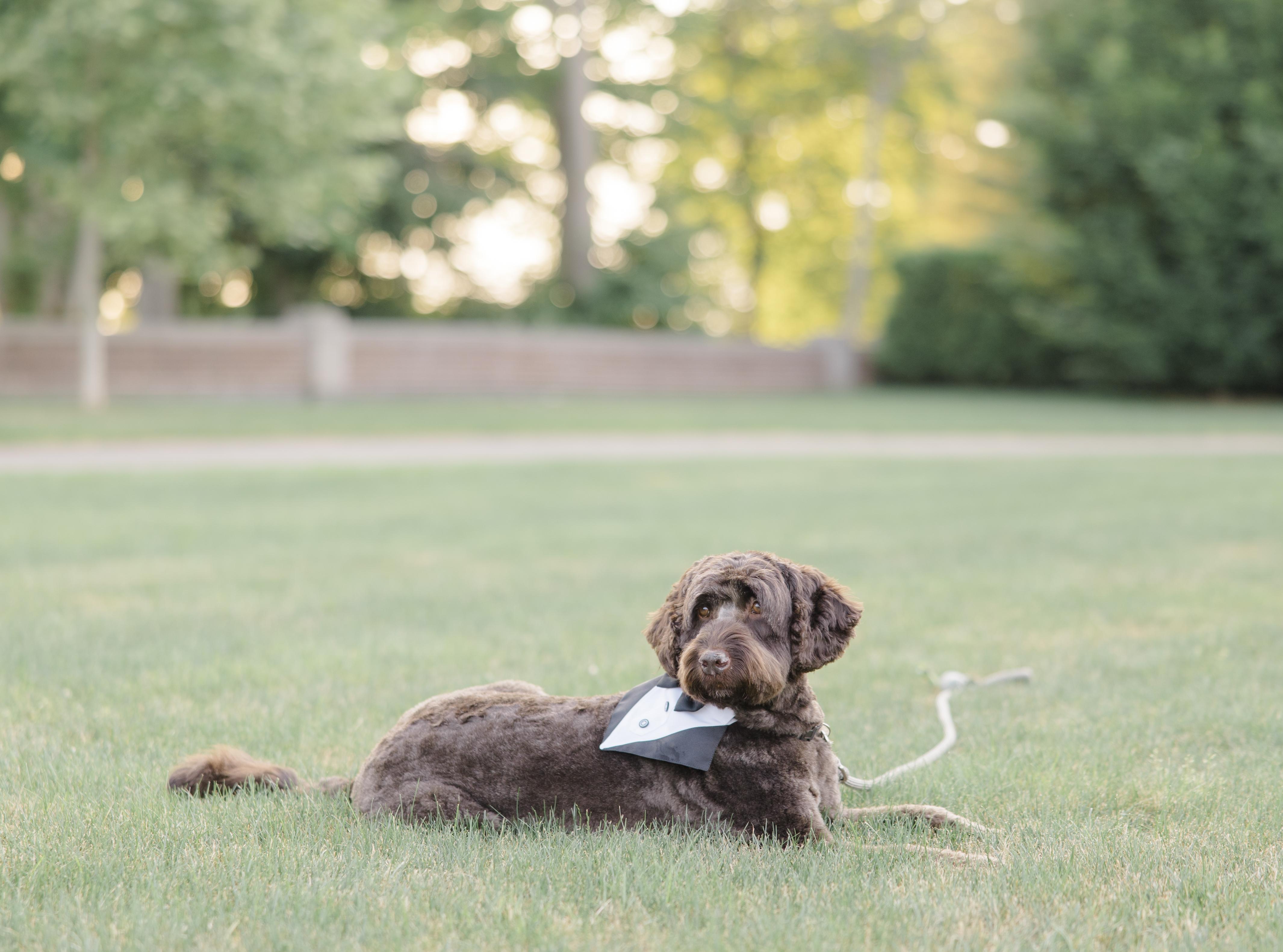 The Wedding Website of Mary Sweeney and Daniel Fitzpatrick