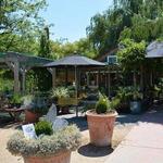 Casque Wines and Flower Farm