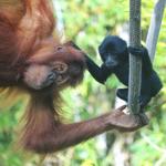 San Diego Zoo