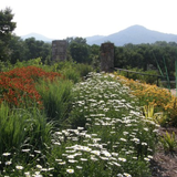 The North Carolina Arboretum