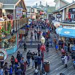 PIER 39 & Sea Lions