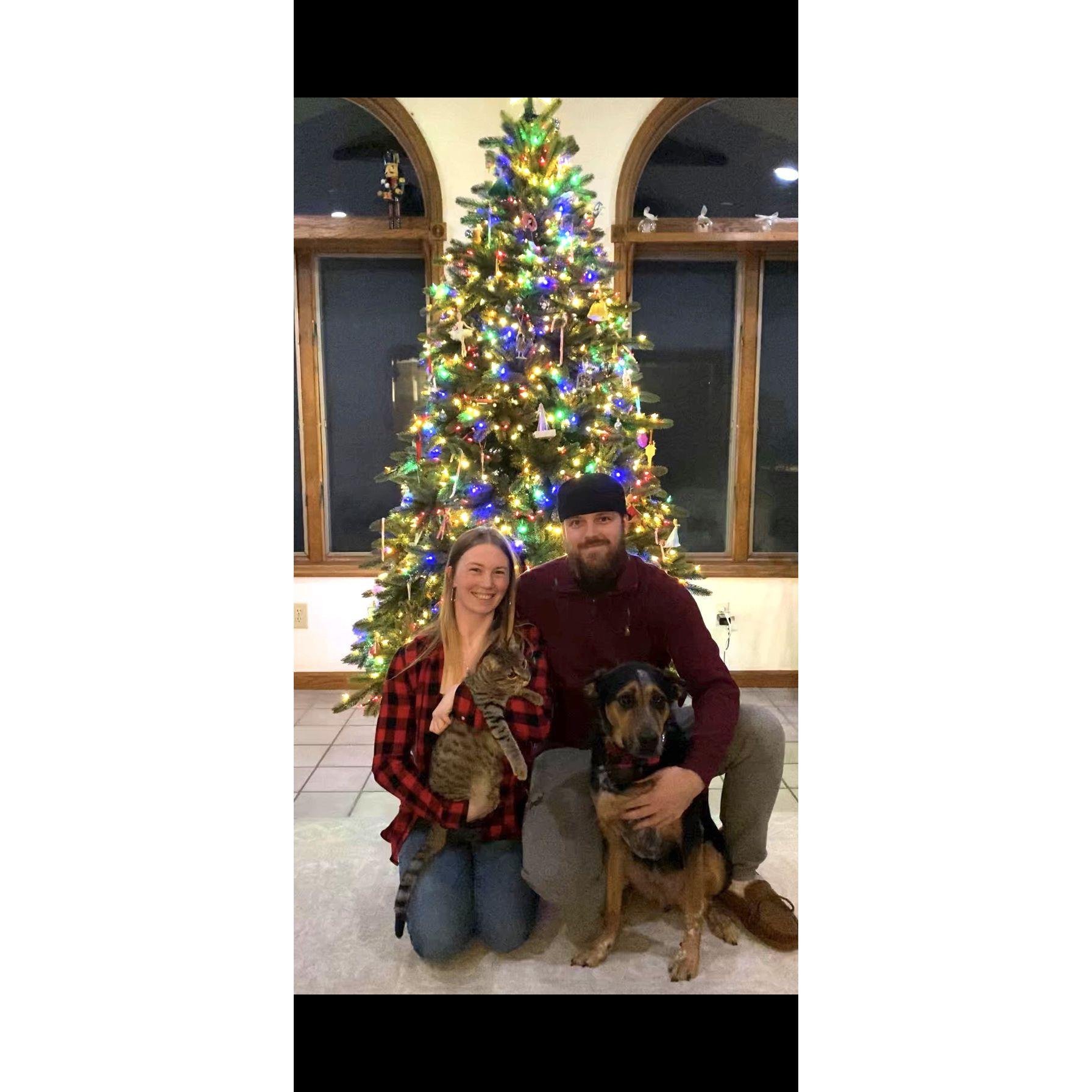 Our first Christmas as a family of 4! We are now Dog and Cat parents!