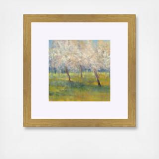Cherry Blossoms Framed Wall Art