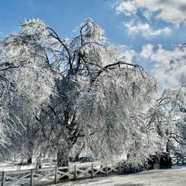 Backup Generator Fund