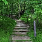 Gold Mine Loop Trail