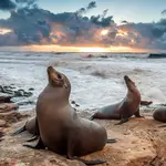 La Jolla