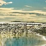 Stone Harbor Point