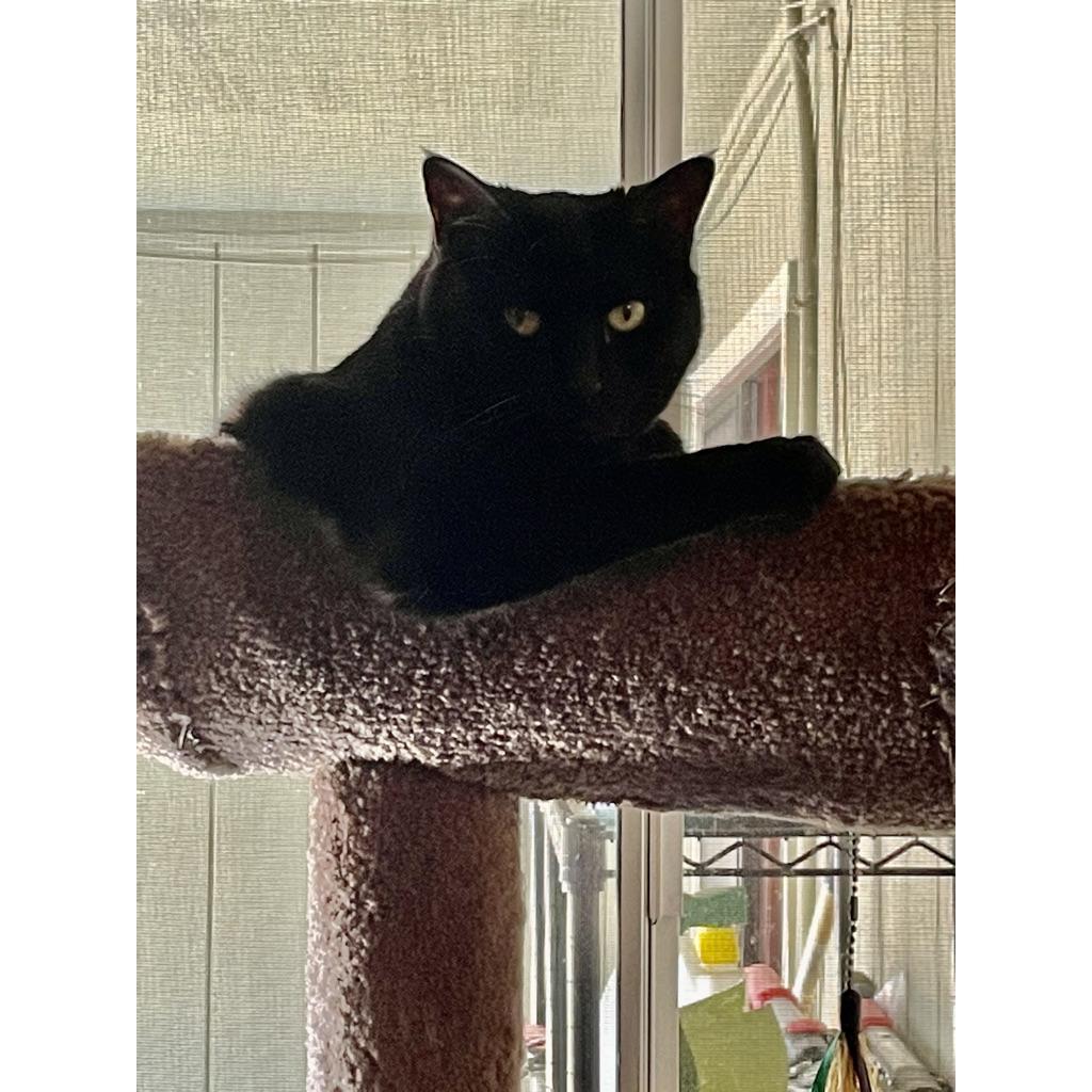 sup