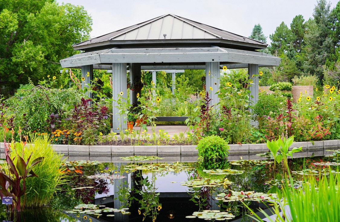 Where Mark proposed at the Denver Botanic Gardens