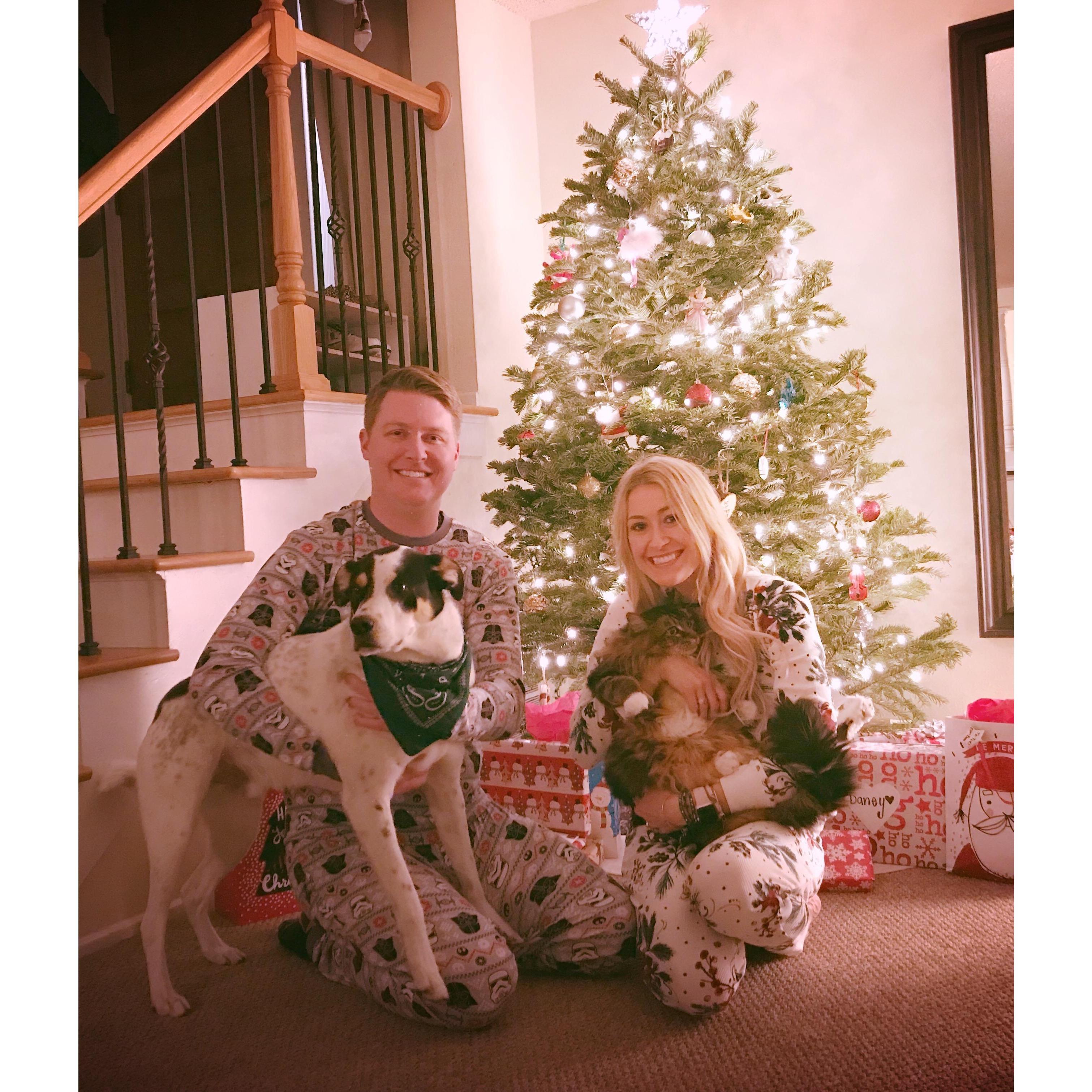 Family photo night of engagment on Christmas Eve 2017