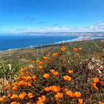 Montana De Oro State Park