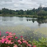 St Josef's Winery