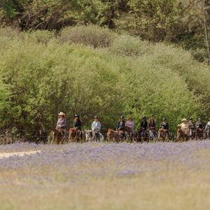 Horseback Ride @ Santa Margarita Ranch