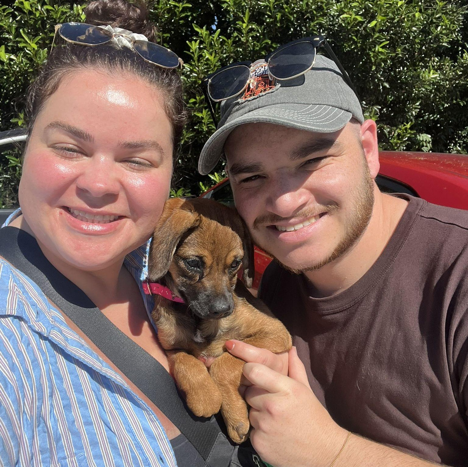 When we adopted Sandy!