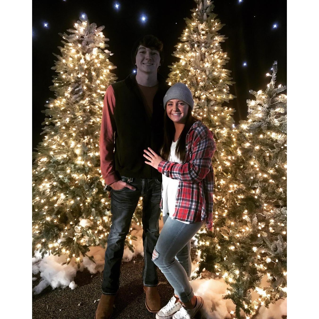 First Christmas together.
December 1, 2017