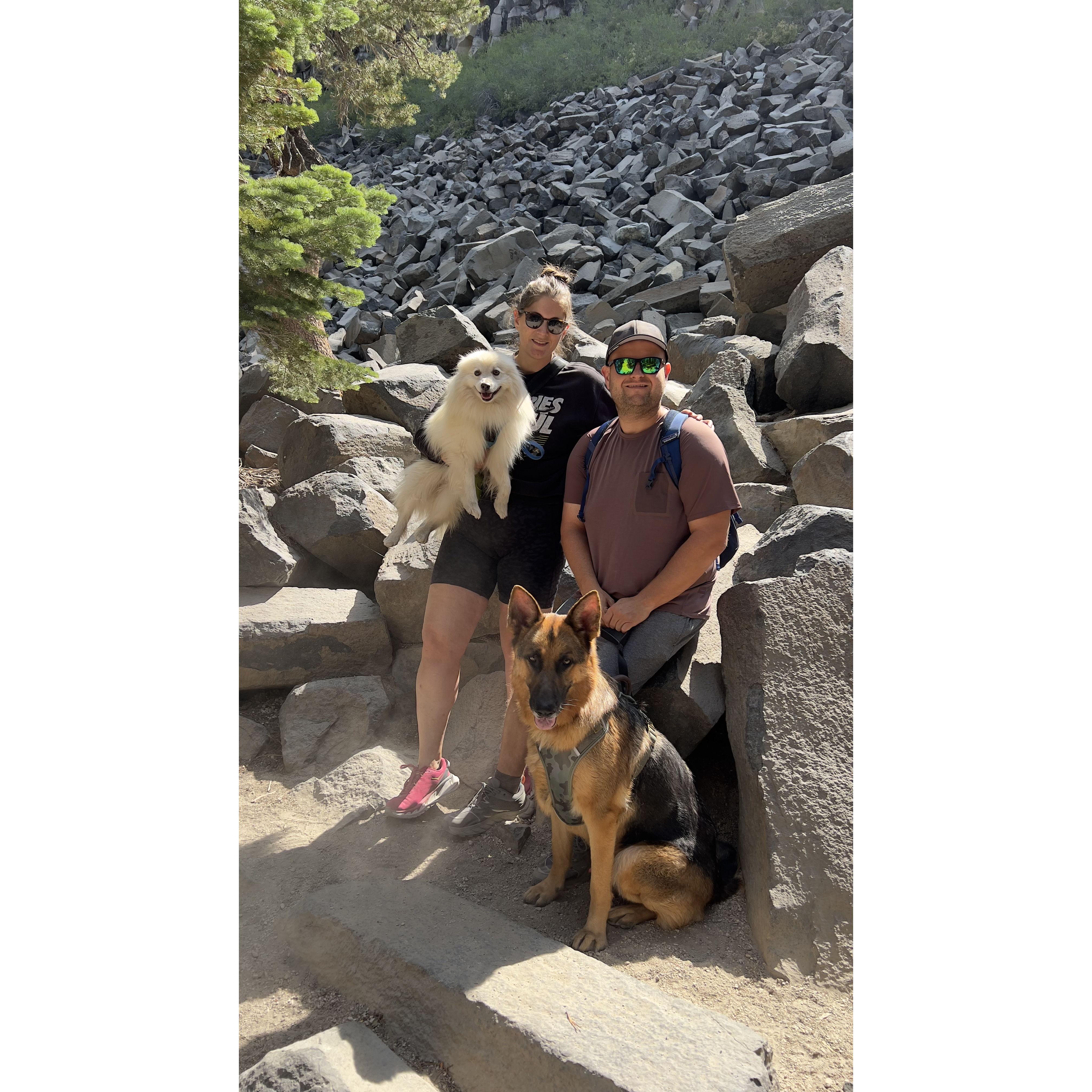 And dont forget Zamp! A love for dogs quickly bonded us together - we expect many fur babies in our future! Seen here hiking with Bear and Zamp in Mammoth Lakes, CA