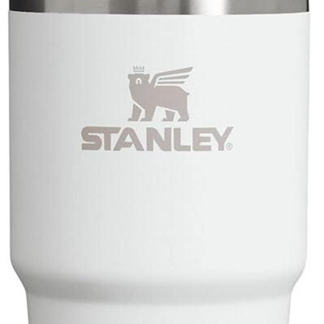 Stanley Quencher H2.0 Tumbler with Straw 20 oz | Twist On 3-Way Lid | Cupholder Compatible for Travel | Insulated Stainless Steel Cup | BPA-Free | Frost