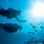PADI Certified Suba Diving