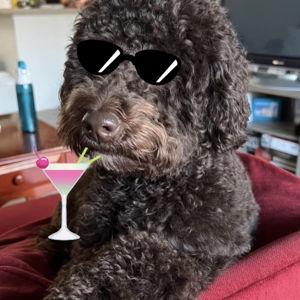 Blue's Vacation