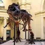 Field Museum