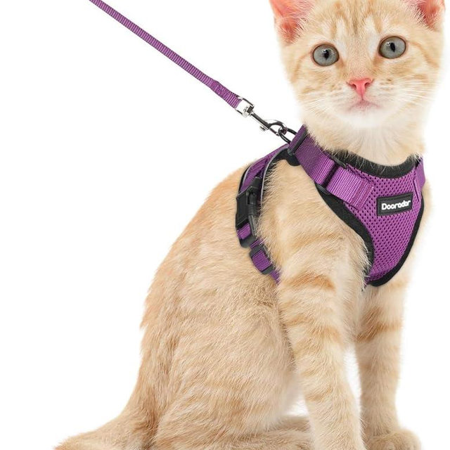 Dooradar Cat Harness and Leash Set, Escape Proof Safe Adjustable Kitten Vest Harnesses for Walking, Easy Control Soft Breathable Mesh Jacket with Reflective Strips for Cats, Purple, S