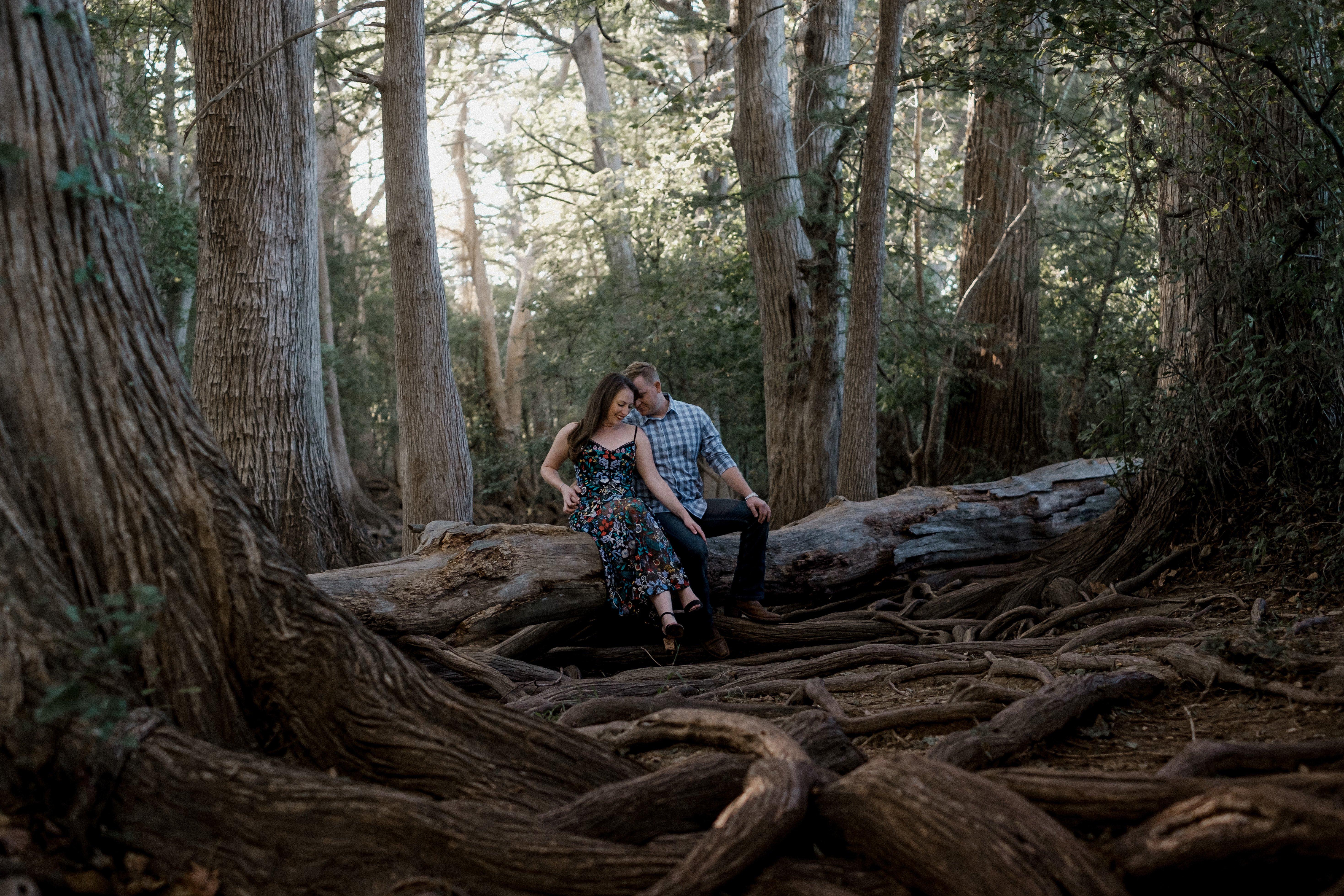 The Wedding Website of ALLI KANTNER and WILL HOLSTEIN