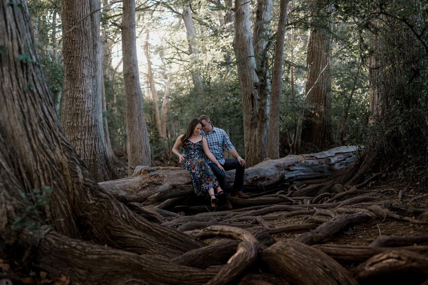 The Wedding Website of ALLI KANTNER and WILL HOLSTEIN