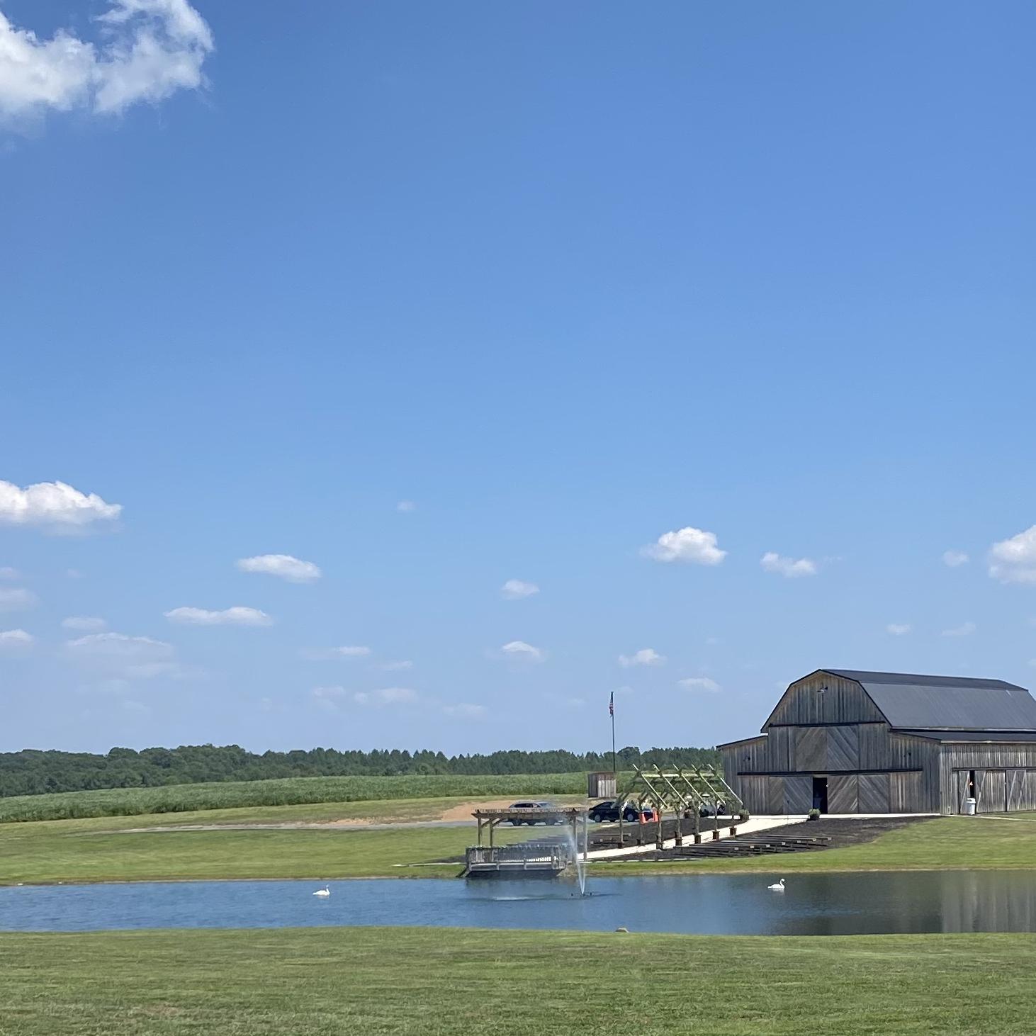 Our Wedding Venue