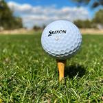 Sag Harbor Golf Course ⛳️