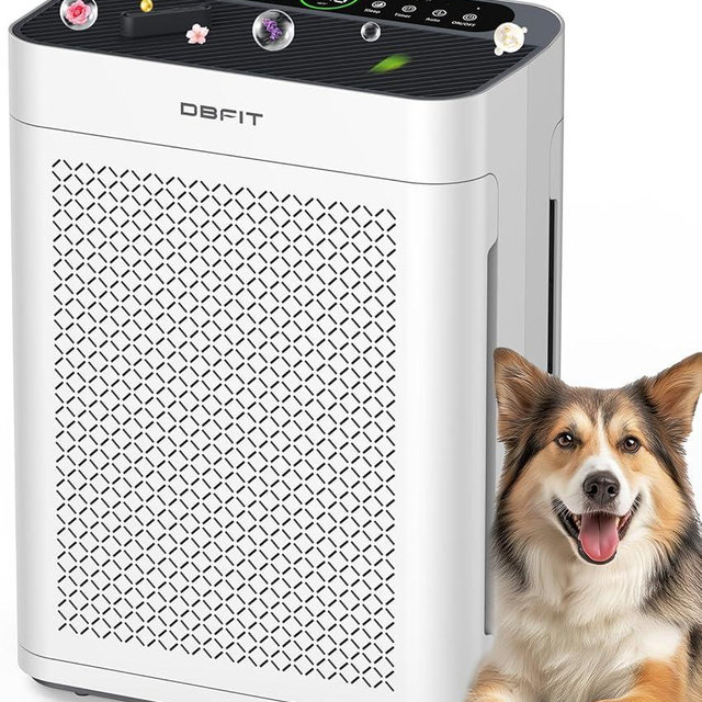 Air Purifiers for Home Large Room up to 3000sq.ft, DBFIT HEPA Double-Sided Air Purifier with Washable Filter, PM 2.5 Display Air Quality Sensor, Air Cleaner for Bedroom, Dorm Room, Pets, Office, AP300