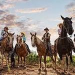 Horse Back Riding
