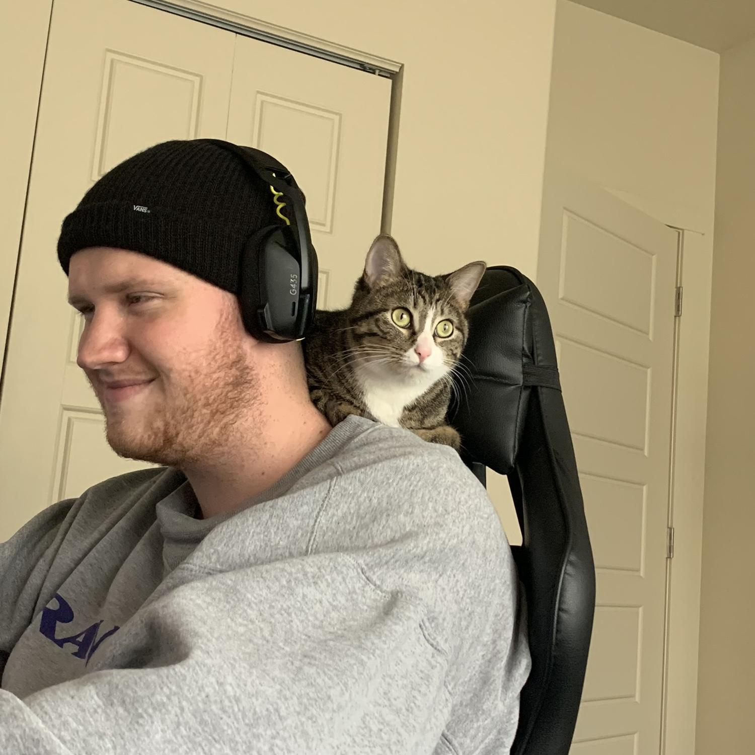 We got a cat (and moved in together) Meet Suki!