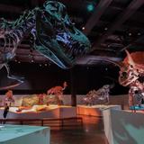 Houston Museum of Natural Science