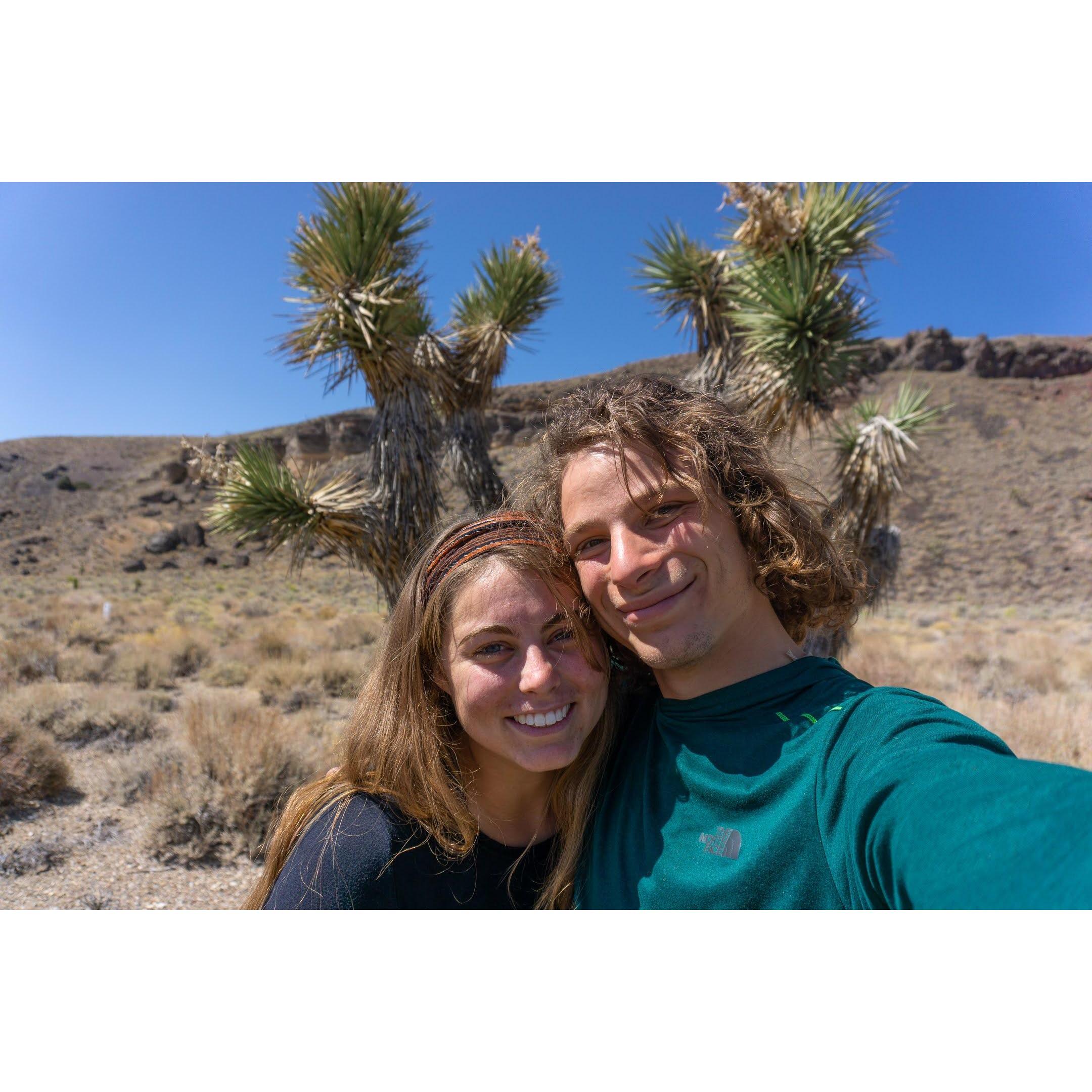 Found some cool Joshua Tree on our way home from Big Pine. We decided to stop and take some photos.
