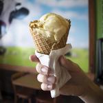 The Screamery (Houghton Location)