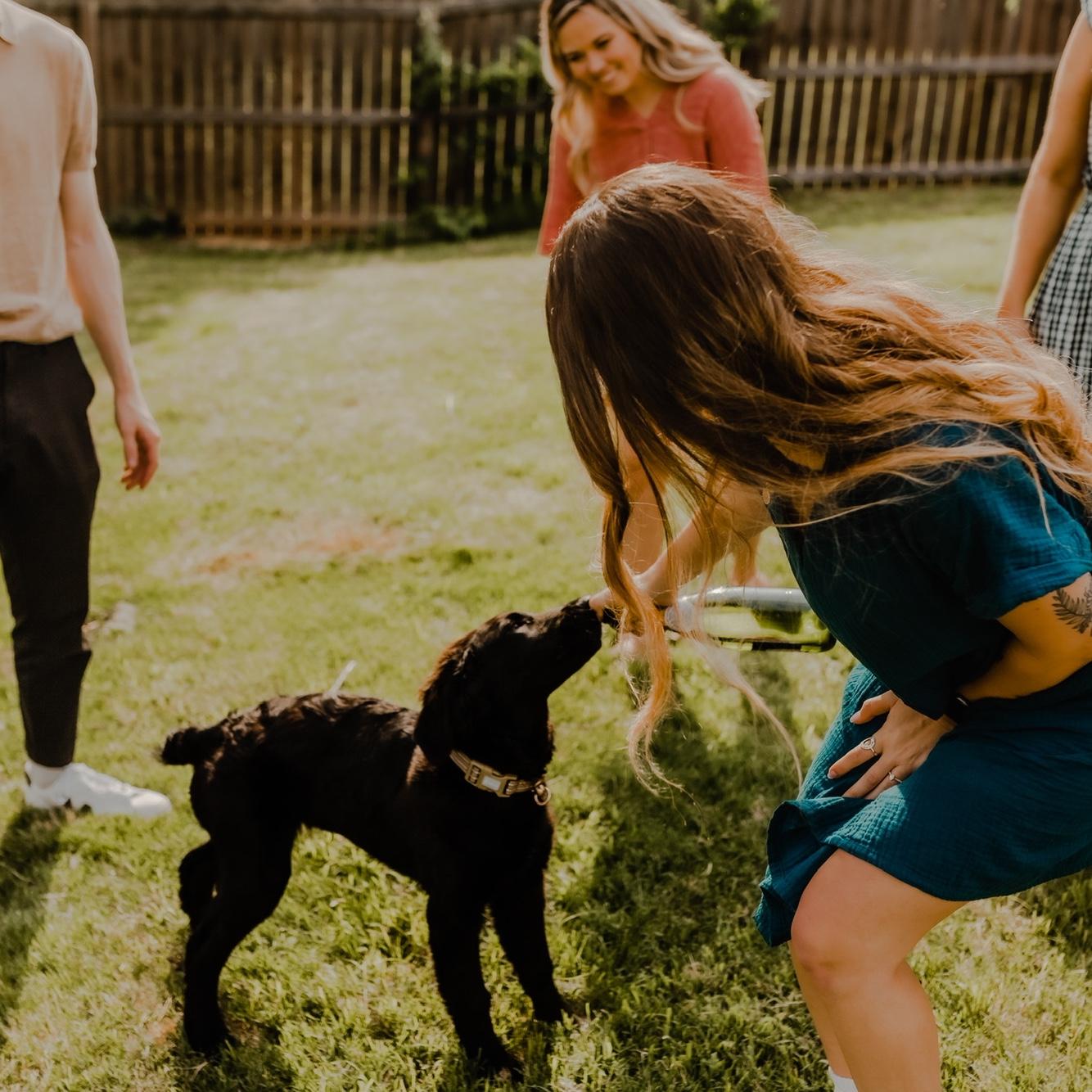 No alcohol was consumed by doggo