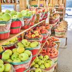 Georgia Apple Festival