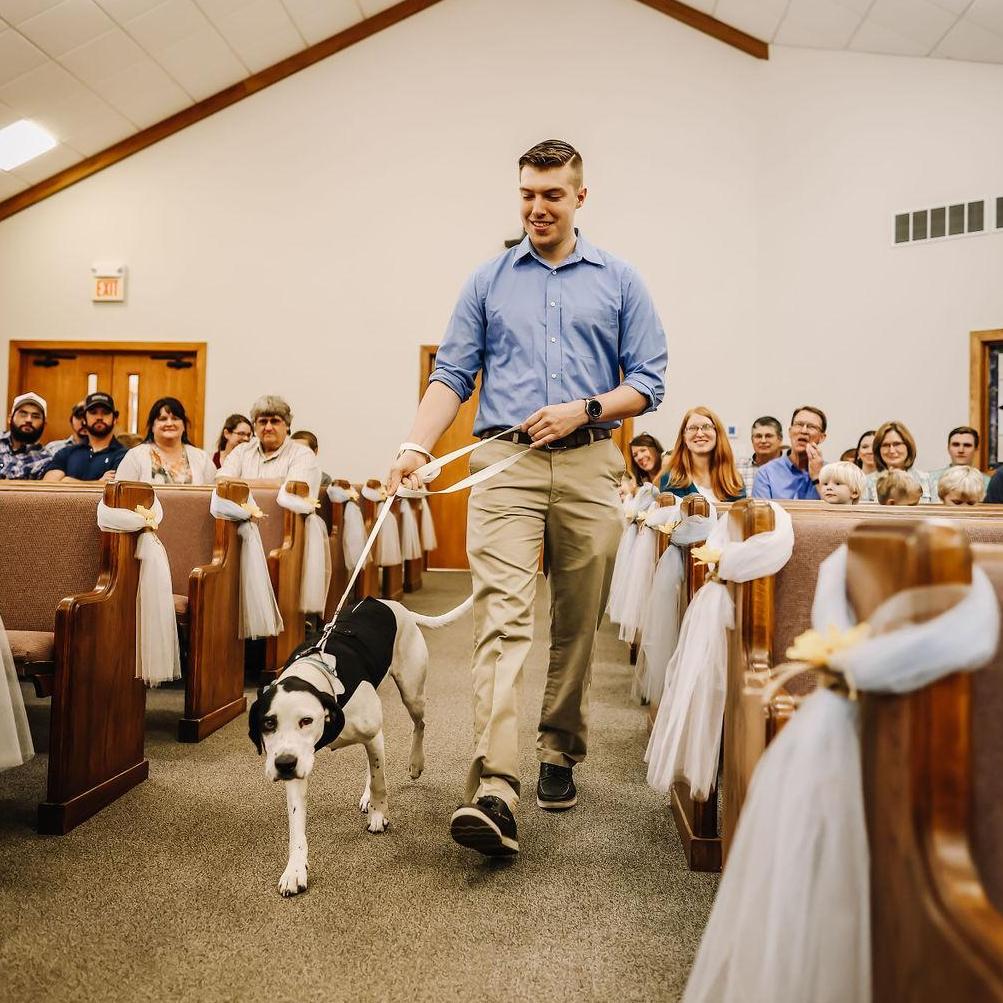 Our "ringbearer" and furry son, Rudy.