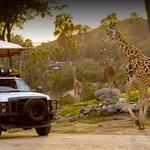 San Diego Zoo Safari Park