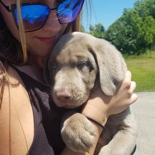 Baby Hank