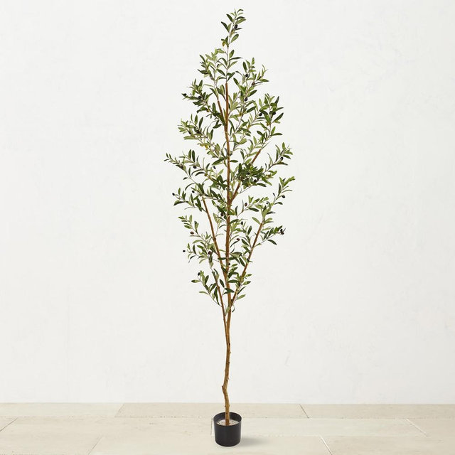 Faux Olive Tree, 82"