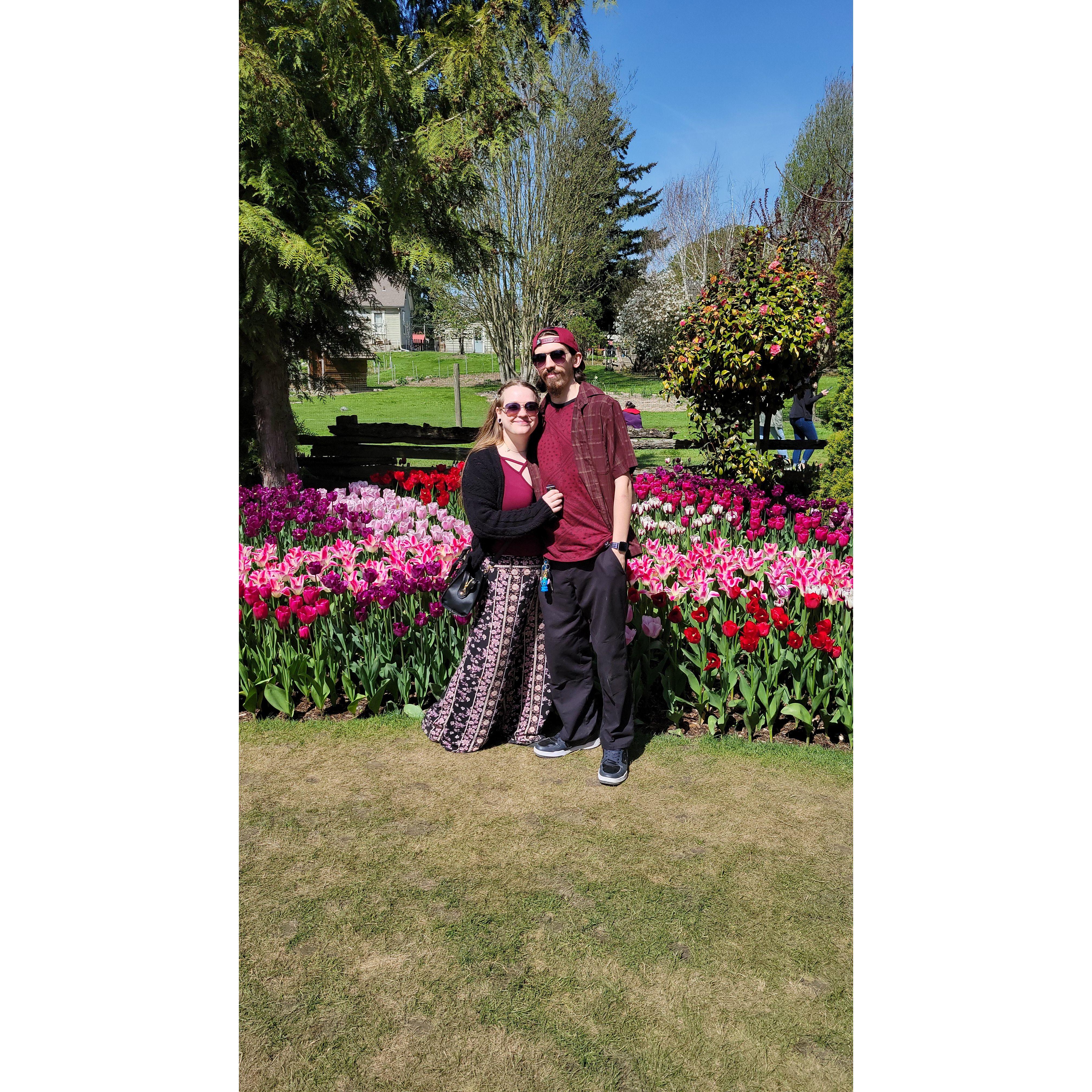 Tulip Festival 2023