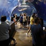 Oklahoma Aquarium