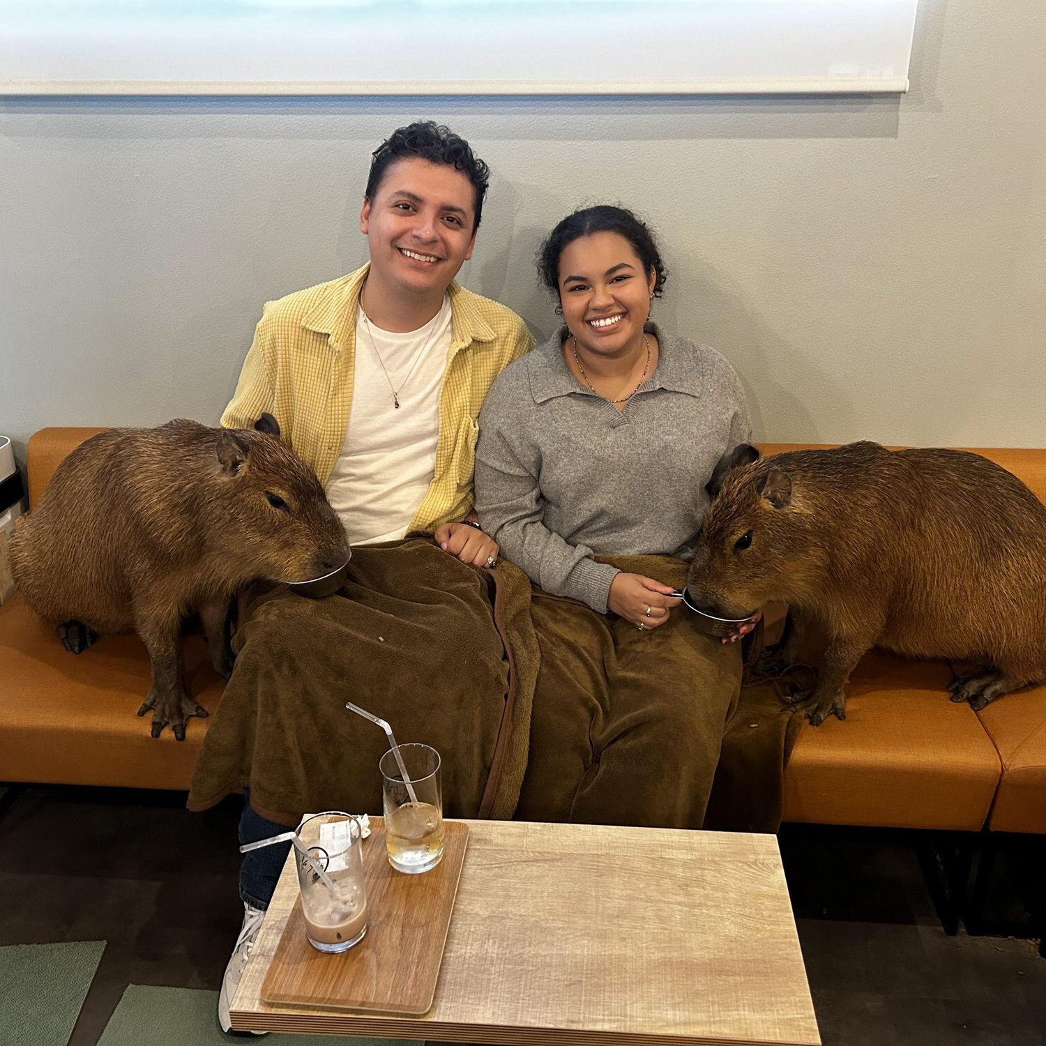With capybaras in Japan!