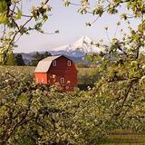 Fruit Loop! Visit a bunch of local farm stands