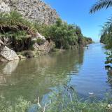 Preveli Palm Forest